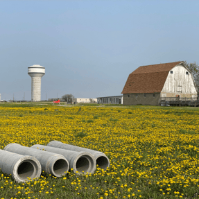 ACPA-Pipes-Field-of-Flowers-1